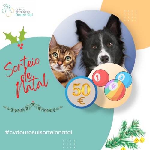 Carousel post from clinica_veterinaria_dourosul.