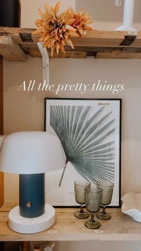 Video post from crane_living.
