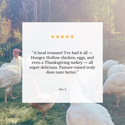 Photo post from hungryhollowfarm.