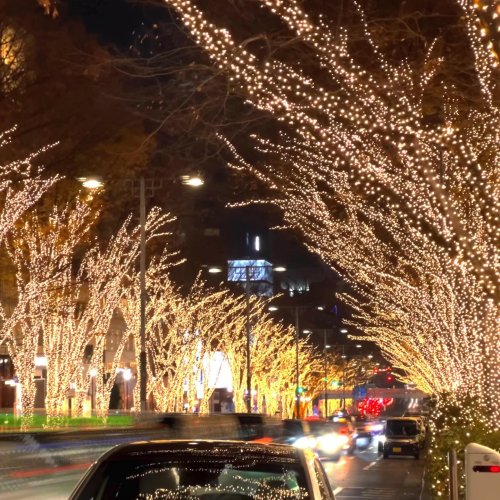 Carousel post from city_shibuya_official.
