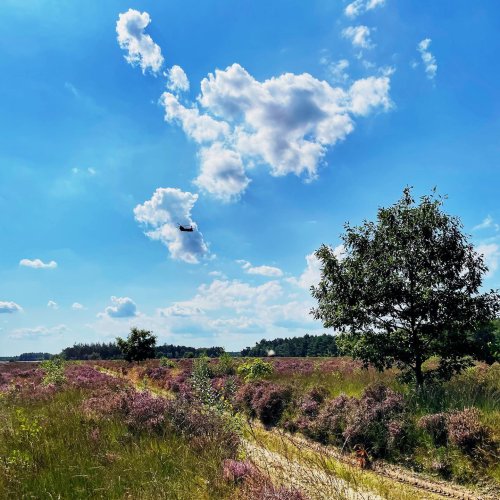 Photo post from visitoirschot.