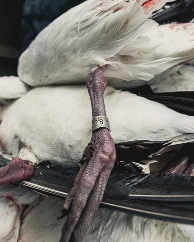 Photo post from northernskiesoutfitters.