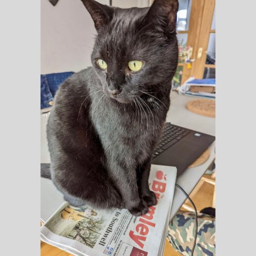 Photo post from bramleynewspaper.