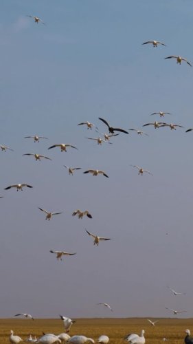 Video post from northernskiesoutfitters.