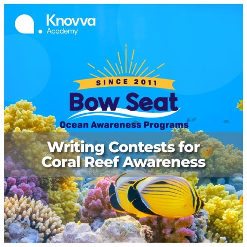 Photo post from knovva_academy.