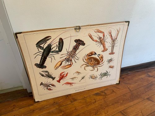 Carousel post from ulva_diversehandel.
