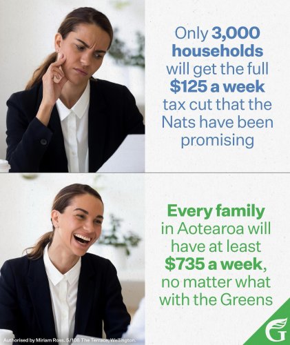 Carousel post from nzgreenparty.