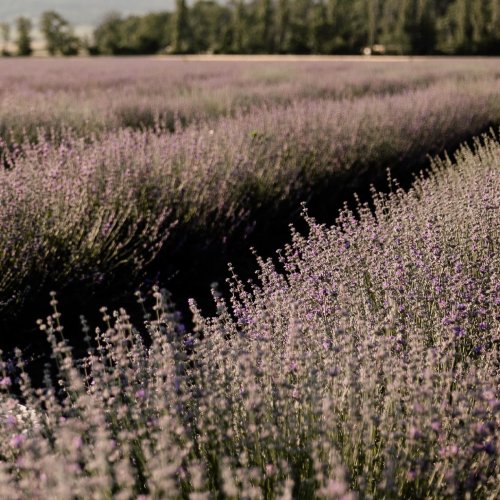 Photo post from suesseboutique.