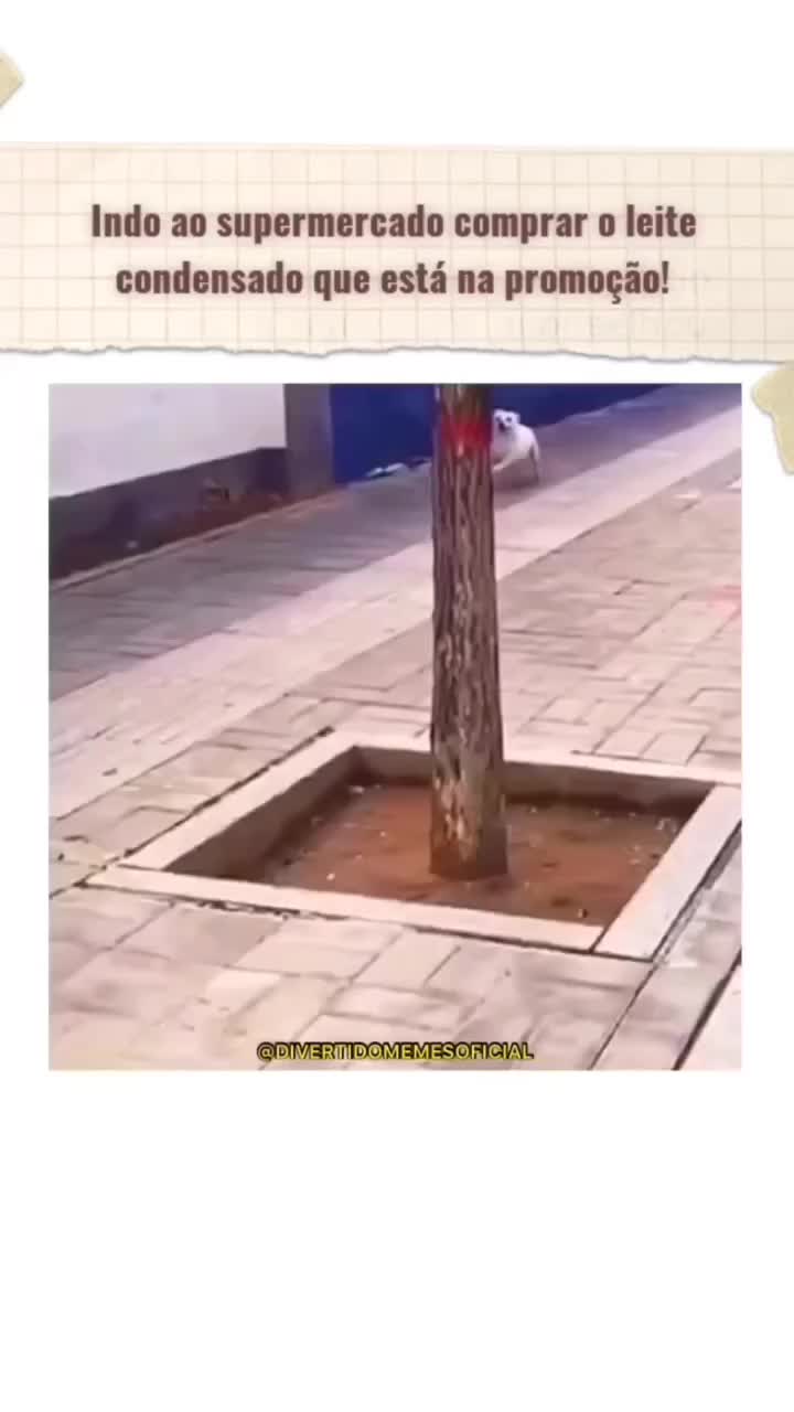 Video post from lumoreiracursos.