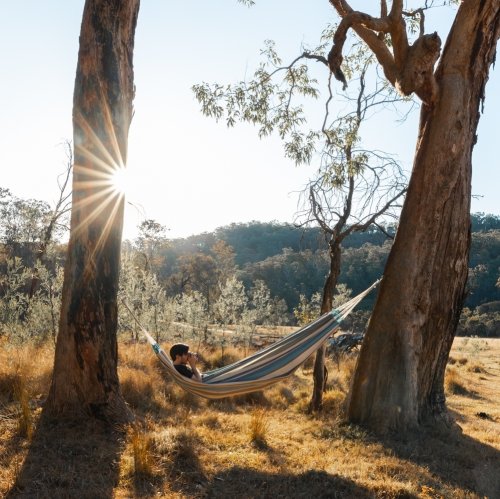 Photo post from in2thewild.aus.