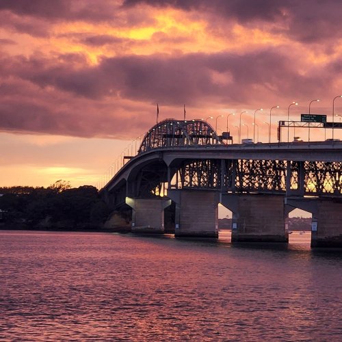 Carousel post from comvita_nz.