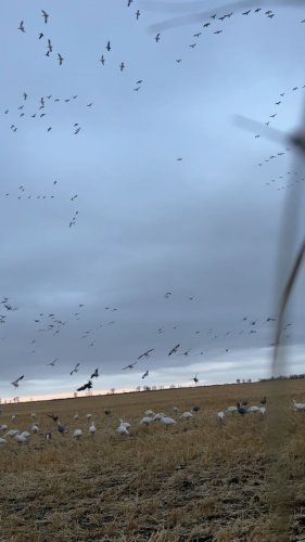 Video post from northernskiesoutfitters.