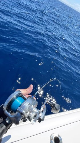 Video post from ejs_fishing_charters.