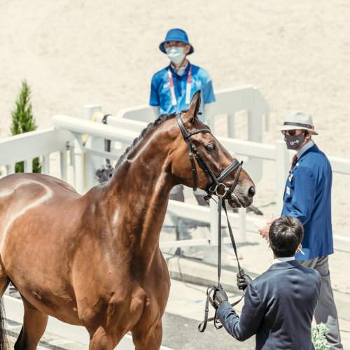 Photo post from fei_global.