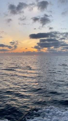 Video post from ejs_fishing_charters.
