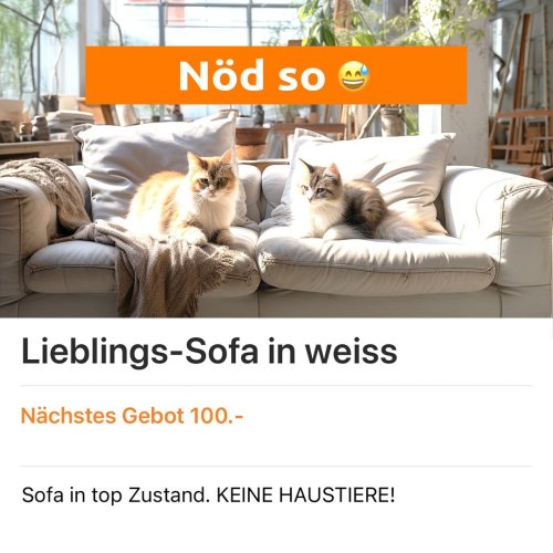 Carousel post from ricardo_ch.