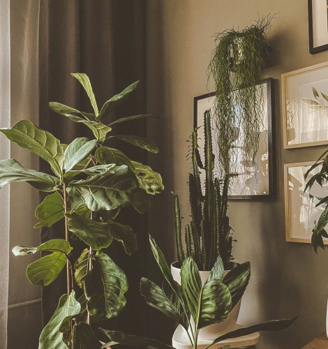 Photo post from avkointerior.