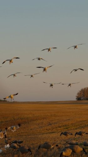 Video post from northernskiesoutfitters.