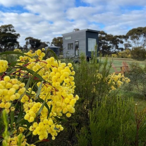 Photo post from in2thewild.aus.
