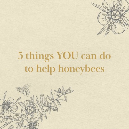 Carousel post from comvita_au.