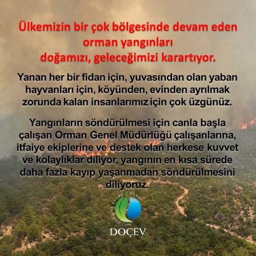 Photo post from dogavecevrevakfi.