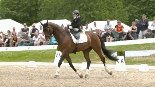 Video post from fei_global.