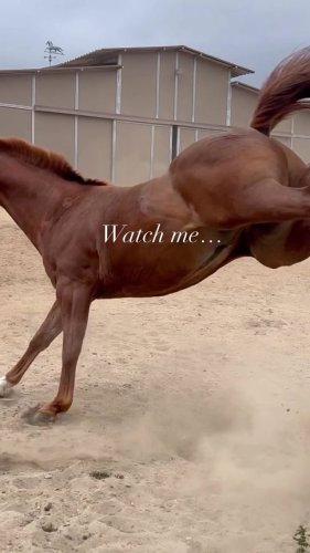 Video post from __amber_lydic__.