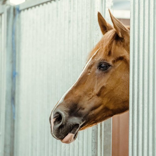 Photo post from fei_global.