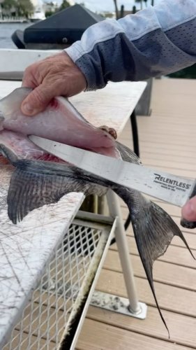 Video post from ejs_fishing_charters.