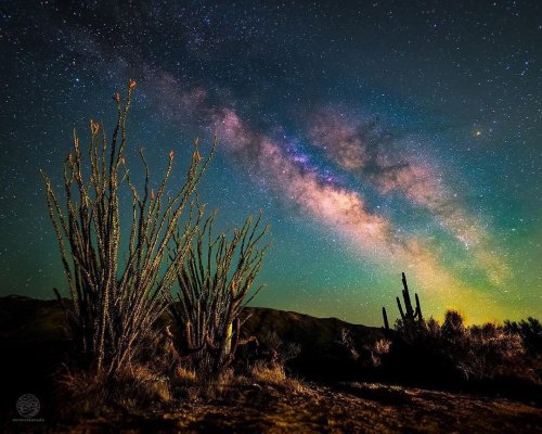 Photo post from visittucson.