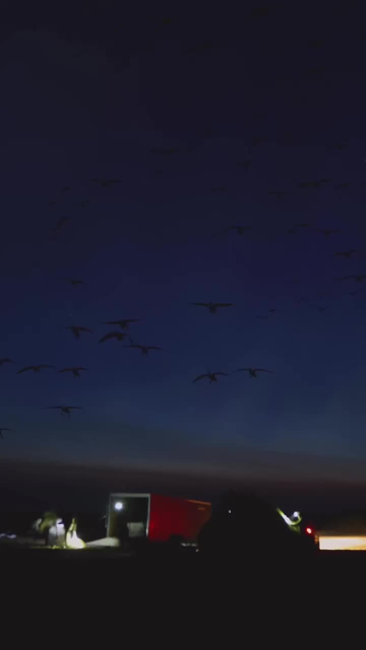 Video post from northernskiesoutfitters.