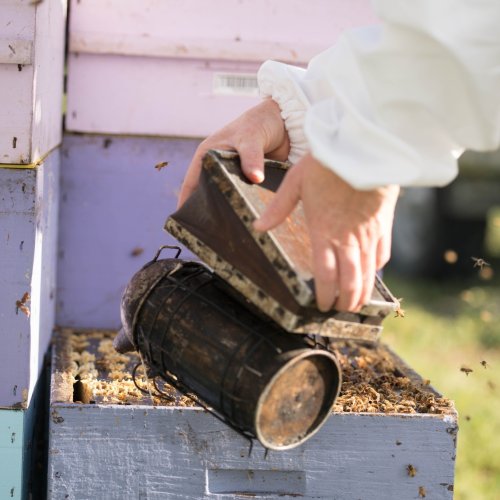 Carousel post from comvita_au.