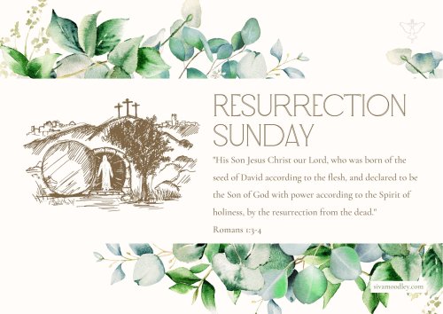 Photo post from drsivamm.