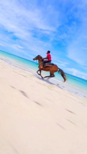 Video post from thingstodoinjamaica.