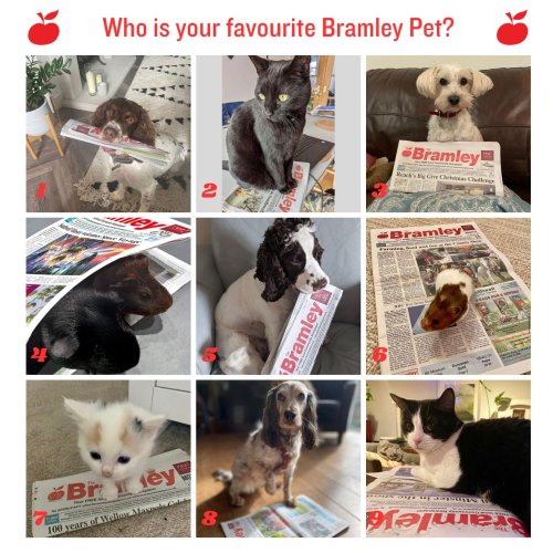 Photo post from bramleynewspaper.