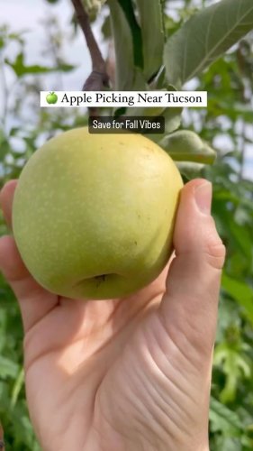 Video post from visittucson.