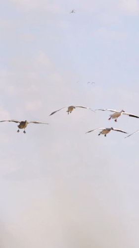 Video post from northernskiesoutfitters.