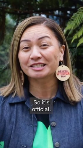 Video post from nzgreenparty.