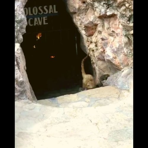 Video post from visittucson.