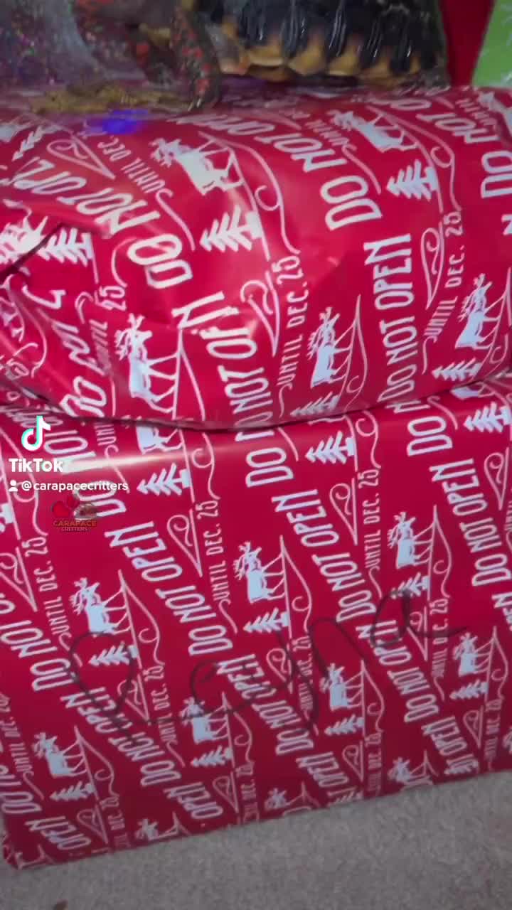 Video post from carapacecritters.