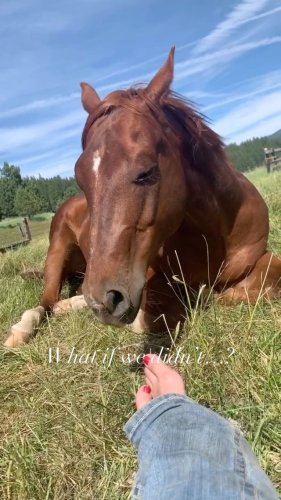 Video post from __amber_lydic__.