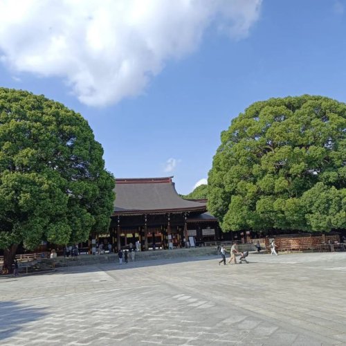 Photo post from mayopiyo3.