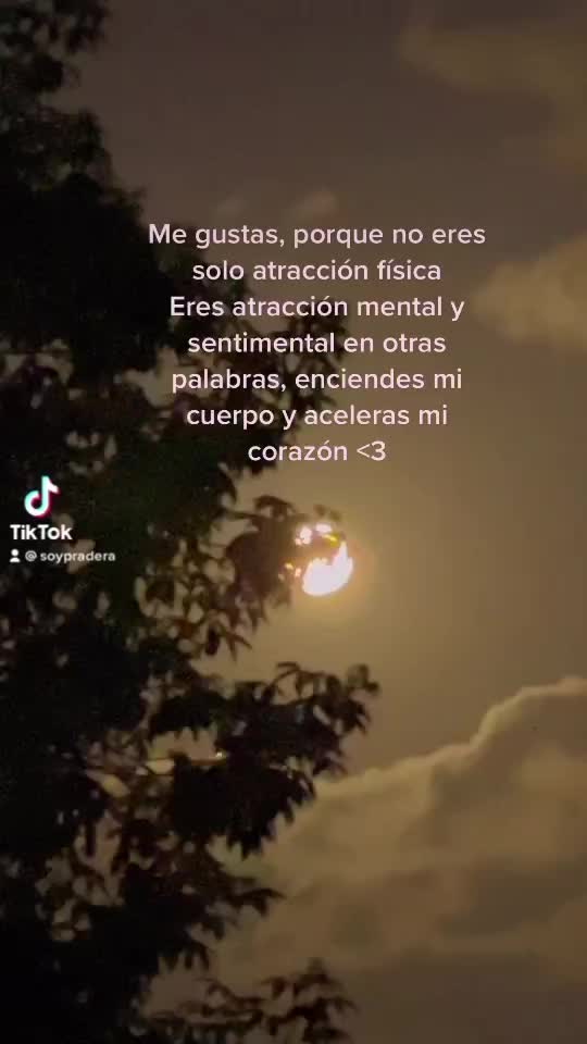 Video post from zeenkey.