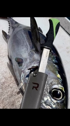 Video post from ejs_fishing_charters.
