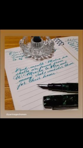 Video post from penandinkchallenge.