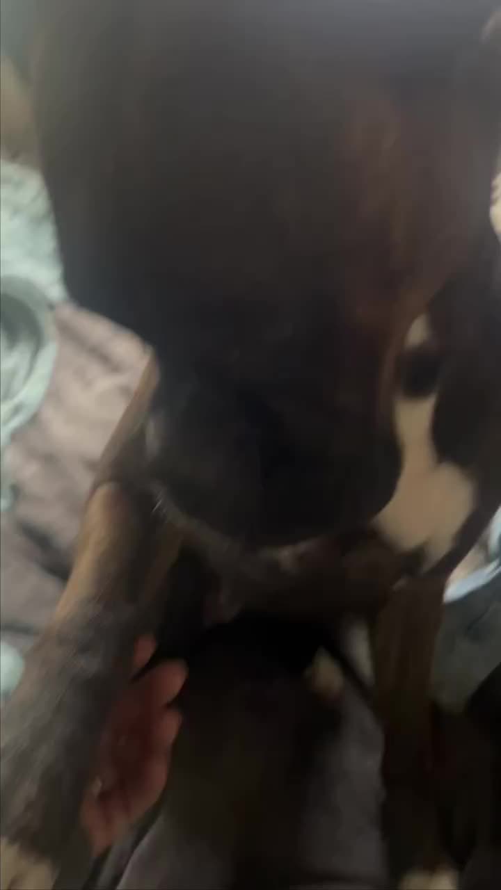 Video post from __amber_lydic__.