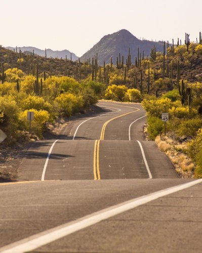 Photo post from visittucson.