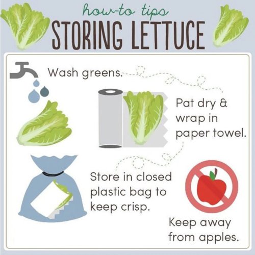 Photo post from farmbox_arizona.