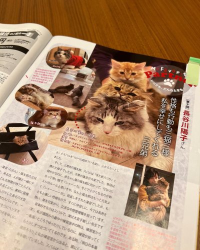 Photo post from yokohasegawa_vc.