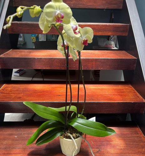 Photo post from la_gifteria.